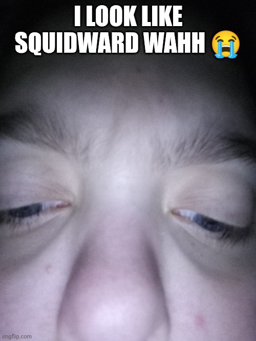 I LOOK LIKE SQUIDWARD WAHH ? | made w/ Imgflip meme maker