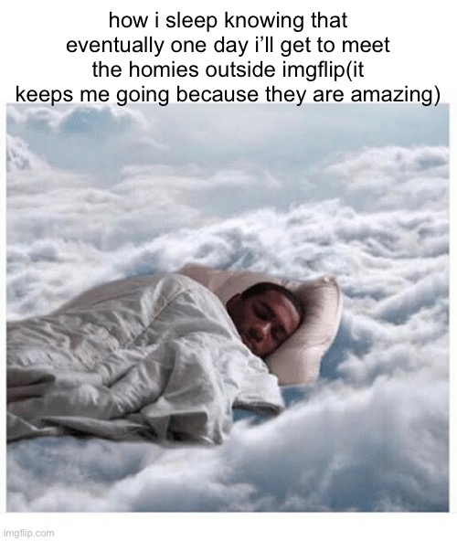 Goodnight bros<3 | how i sleep knowing that eventually one day i’ll get to meet the homies outside imgflip(it keeps me going because they are amazing) | image tagged in how i sleep knowing | made w/ Imgflip meme maker