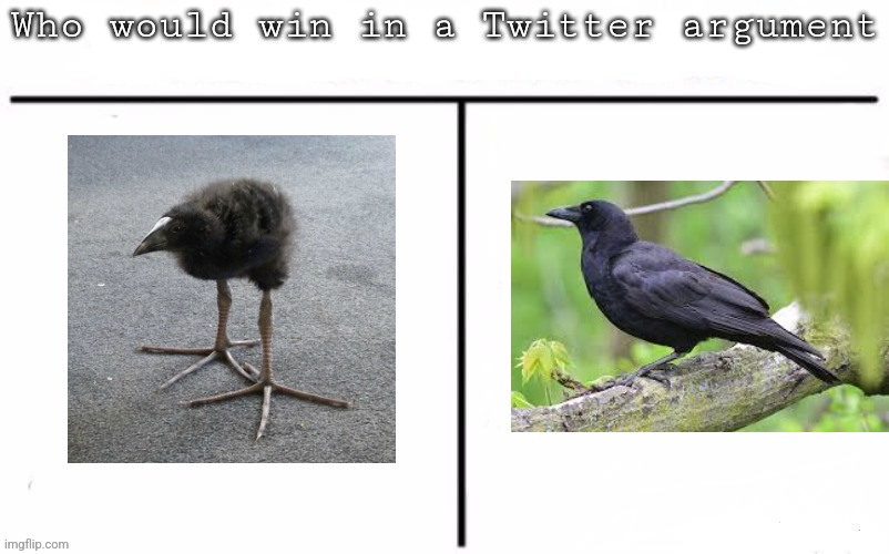 Pitting random mfs against each other | image tagged in pitting random mfs against each other | made w/ Imgflip meme maker
