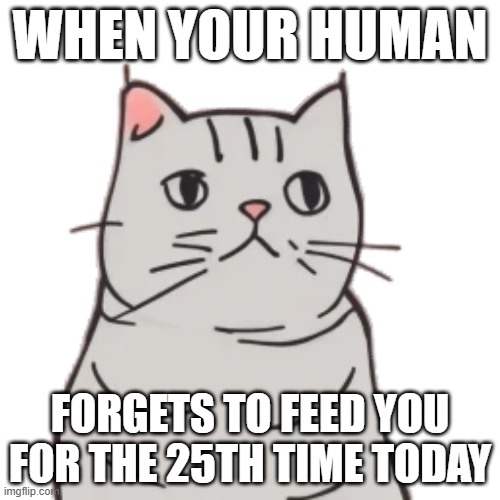 relatable. | WHEN YOUR HUMAN; FORGETS TO FEED YOU FOR THE 25TH TIME TODAY | image tagged in relatable | made w/ Imgflip meme maker