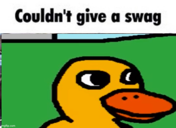 Couldn't give a swag | image tagged in couldn't give a swag | made w/ Imgflip meme maker