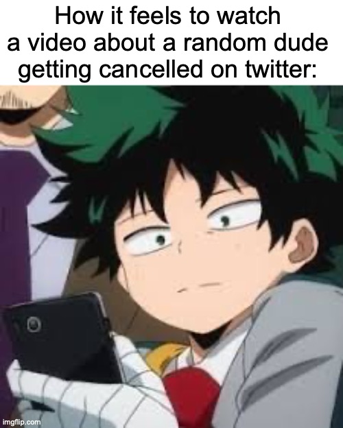 Does that really matter? | How it feels to watch a video about a random dude getting cancelled on twitter: | image tagged in deku dissapointed,memes,twitter,mha | made w/ Imgflip meme maker