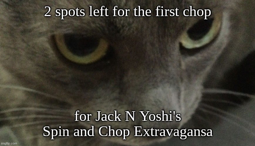 Sweetie | 2 spots left for the first chop; for Jack N Yoshi's Spin and Chop Extravagansa | image tagged in sweetie | made w/ Imgflip meme maker