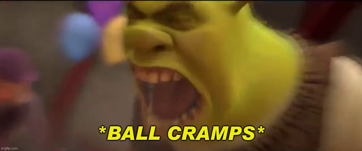 they hurt :( | *BALL CRAMPS* | image tagged in shrek screaming | made w/ Imgflip meme maker