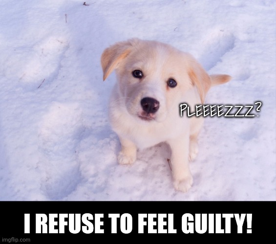 PLEEEEZZZ? I REFUSE TO FEEL GUILTY! | made w/ Imgflip meme maker