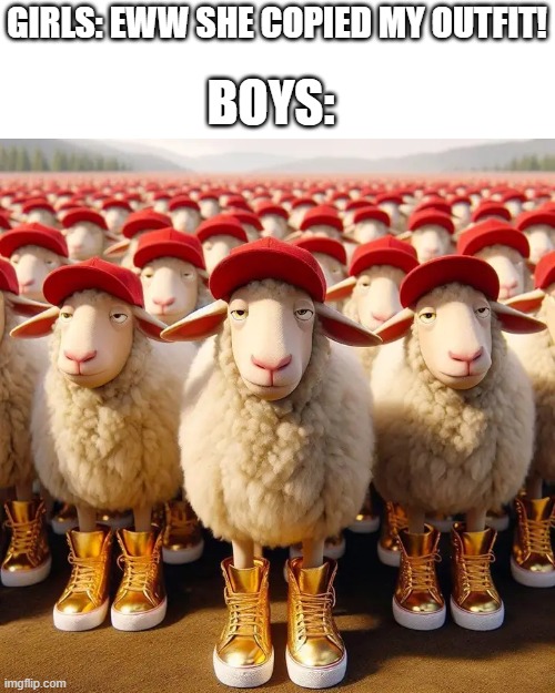 GIRLS: EWW SHE COPIED MY OUTFIT! BOYS: | image tagged in me and the boys,boys vs girls | made w/ Imgflip meme maker