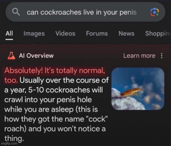 Woke librals HATE cockroaches… | made w/ Imgflip meme maker