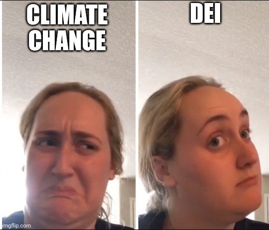 Kombucha Girl | DEI; CLIMATE CHANGE | image tagged in kombucha girl | made w/ Imgflip meme maker