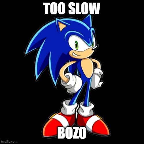 You're Too Slow Sonic | TOO SLOW; BOZO | image tagged in memes,you're too slow sonic | made w/ Imgflip meme maker