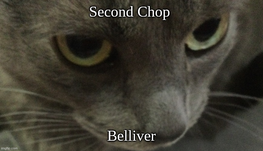 Sweetie | Second Chop; Belliver | image tagged in sweetie | made w/ Imgflip meme maker