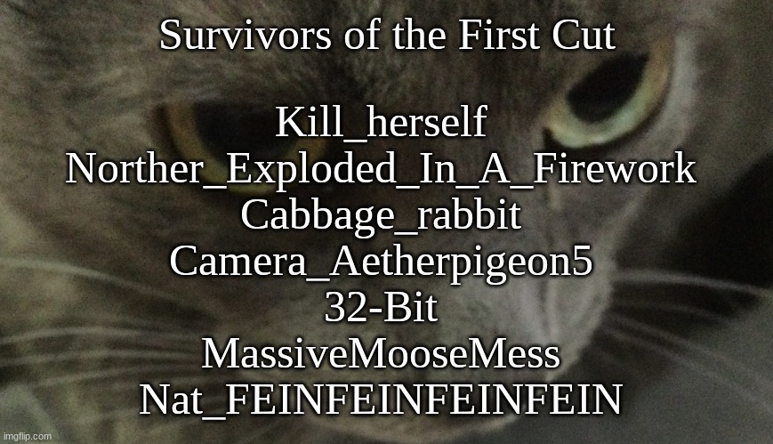 Sweetie | Survivors of the First Cut; Kill_herself 
Norther_Exploded_In_A_Firework 
Cabbage_rabbit 
Camera_Aetherpigeon5 
32-Bit 
MassiveMooseMess 
Nat_FEINFEINFEINFEIN | image tagged in sweetie | made w/ Imgflip meme maker