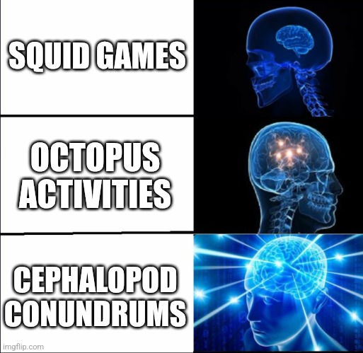 *cough* Matt rose reference *cough* | SQUID GAMES; OCTOPUS ACTIVITIES; CEPHALOPOD CONUNDRUMS | image tagged in big brain,memes,squid game | made w/ Imgflip meme maker