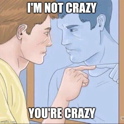 Pointing mirror guy | I'M NOT CRAZY; YOU'RE CRAZY | image tagged in pointing mirror guy | made w/ Imgflip meme maker