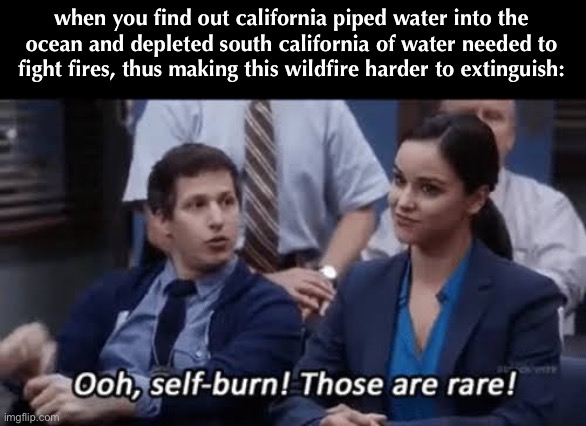 rip | when you find out california piped water into the ocean and depleted south california of water needed to fight fires, thus making this wildfire harder to extinguish: | image tagged in ooh self-burn those are rare | made w/ Imgflip meme maker