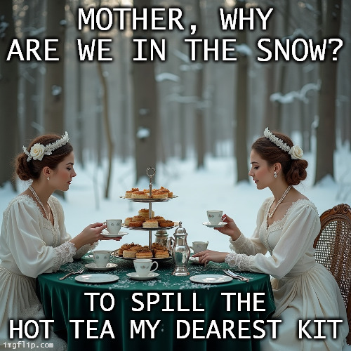 To Spill the Tea | MOTHER, WHY ARE WE IN THE SNOW? TO SPILL THE HOT TEA MY DEAREST KIT | image tagged in snow | made w/ Imgflip meme maker