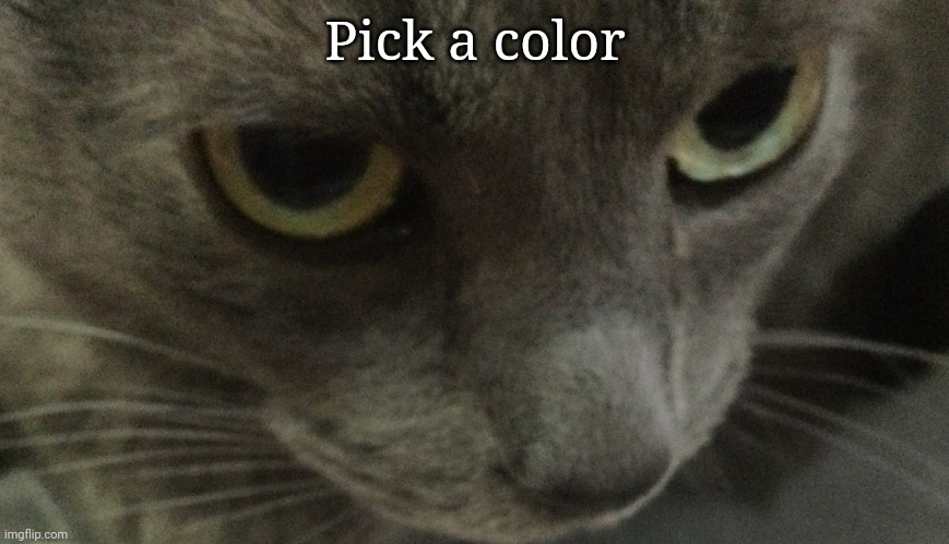 Sweetie | Pick a color | image tagged in sweetie | made w/ Imgflip meme maker