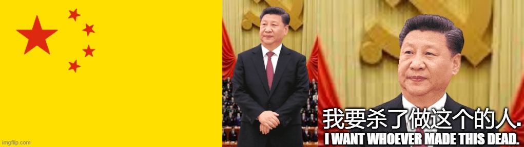 Xi doesn't like Color Reversing | 我要杀了做这个的人. I WANT WHOEVER MADE THIS DEAD. | image tagged in china,comedy,funny memes,memes,xi jinping,ccp | made w/ Imgflip meme maker