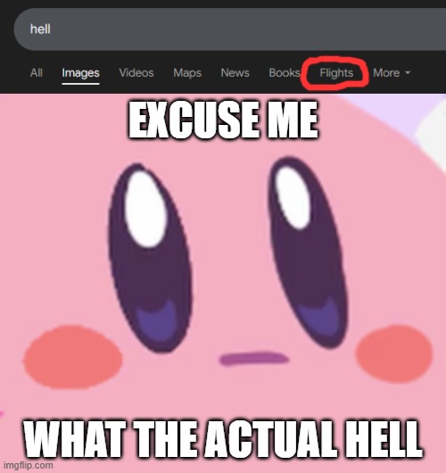 flights to hell | EXCUSE ME; WHAT THE ACTUAL HELL | image tagged in flights to hell,blank kirby face | made w/ Imgflip meme maker