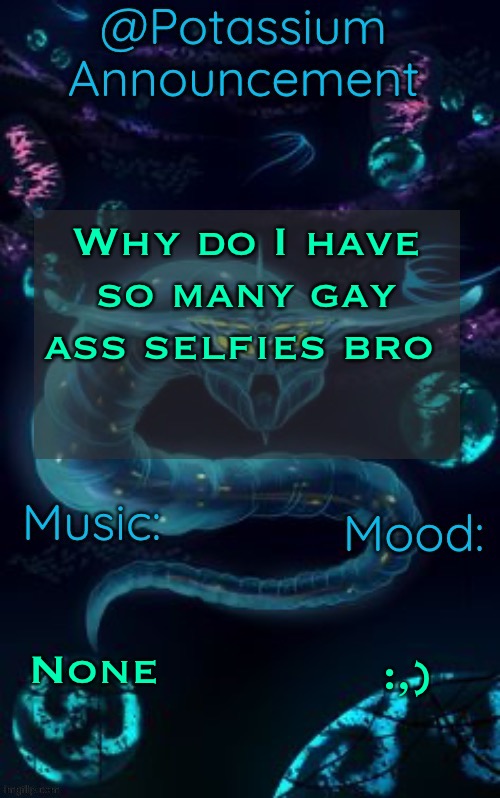 Potassium’s Ghost Leviathan Template | Why do I have so many gay ass selfies bro; None; :,) | image tagged in potassium s ghost leviathan template | made w/ Imgflip meme maker
