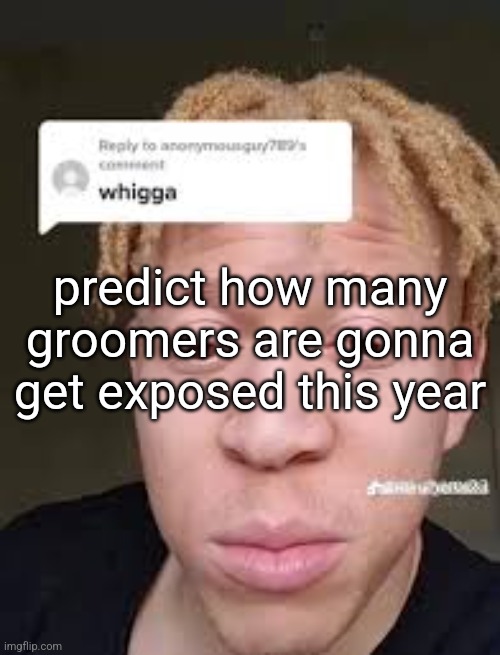 whigga | predict how many groomers are gonna get exposed this year | image tagged in whigga | made w/ Imgflip meme maker