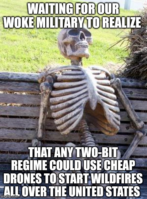 Waiting Skeleton | WAITING FOR OUR WOKE MILITARY TO REALIZE; THAT ANY TWO-BIT REGIME COULD USE CHEAP DRONES TO START WILDFIRES ALL OVER THE UNITED STATES | image tagged in memes,waiting skeleton | made w/ Imgflip meme maker