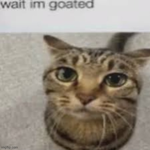 wait im goated | image tagged in wait im goated | made w/ Imgflip meme maker