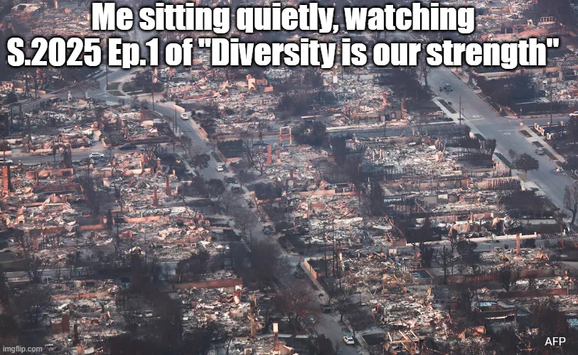 LA Fires Diversity | Me sitting quietly, watching S.2025 Ep.1 of "Diversity is our strength" | image tagged in politics | made w/ Imgflip meme maker