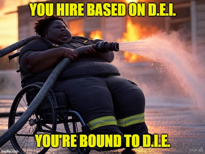 DEI/DIE | YOU HIRE BASED ON D.E.I. YOU'RE BOUND TO D.I.E. | image tagged in wildfires,wildfire,fireman,maga,california fires,hollywood | made w/ Imgflip meme maker