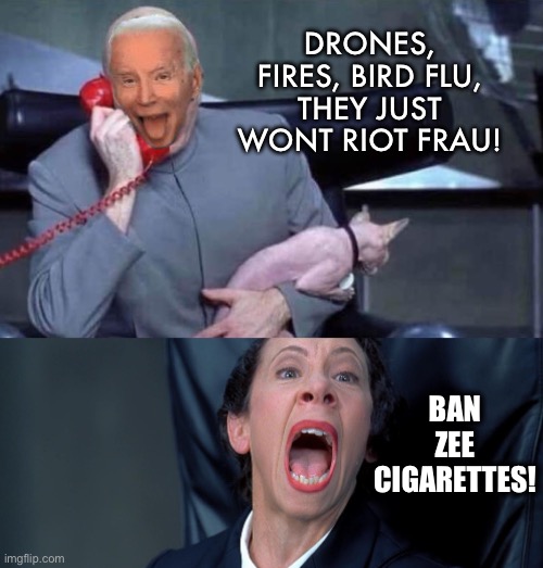 Dr Evil and Frau | DRONES, FIRES, BIRD FLU, THEY JUST WONT RIOT FRAU! BAN ZEE CIGARETTES! | image tagged in dr evil and frau | made w/ Imgflip meme maker