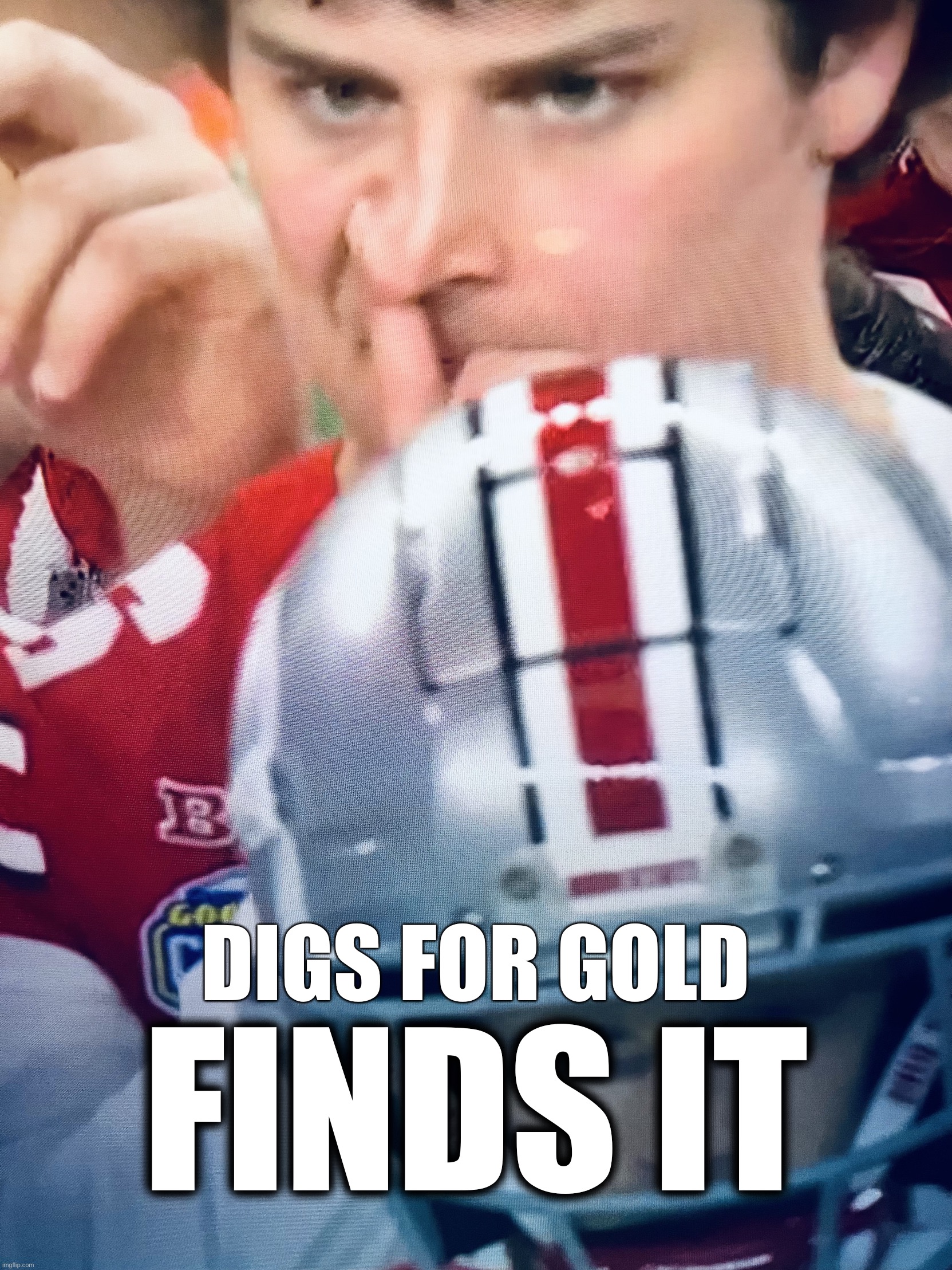 THE Ohio State University | DIGS FOR GOLD; FINDS IT | image tagged in the ohio state university | made w/ Imgflip meme maker
