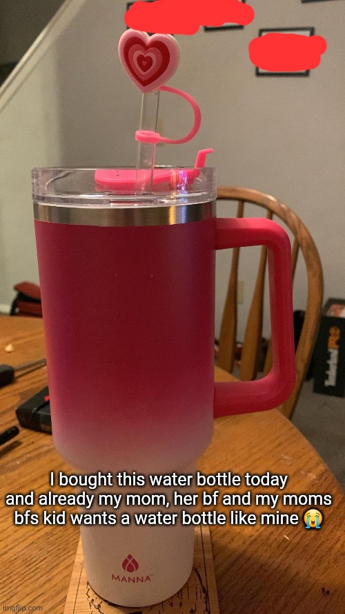. | I bought this water bottle today and already my mom, her bf and my moms bfs kid wants a water bottle like mine 😭 | made w/ Imgflip meme maker