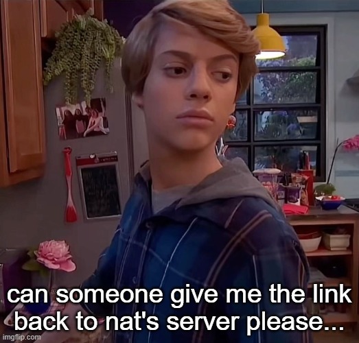 henry danger side eye | can someone give me the link back to nat's server please... | image tagged in henry danger side eye | made w/ Imgflip meme maker