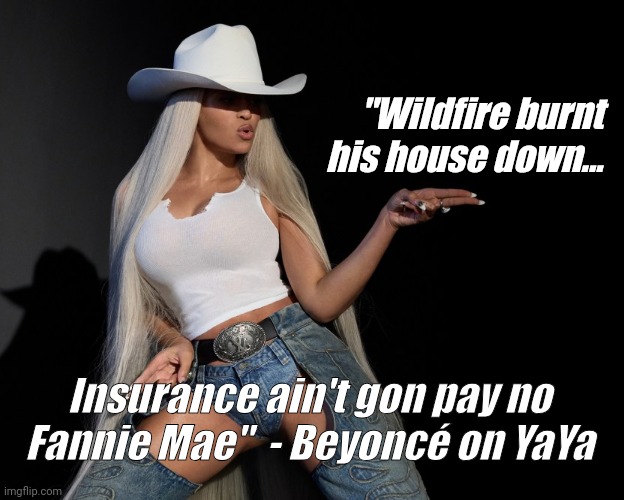 Beyoncé YaYa Wildfire | "Wildfire burnt his house down... Insurance ain't gon pay no Fannie Mae"  - Beyoncé on YaYa | image tagged in beyonce yaya | made w/ Imgflip meme maker