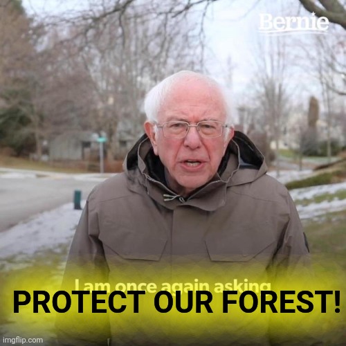 Taxpayers Wondered Why? | PROTECT OUR FOREST! | image tagged in bernie i am once again asking for your support,gayna,paradise,burn baby burn,sixty percent | made w/ Imgflip meme maker