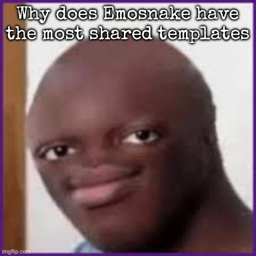 Bald Ksi | Why does Emosnake have the most shared templates | image tagged in bald ksi,msmg | made w/ Imgflip meme maker