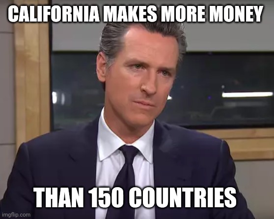 We Need Federal Assistance | CALIFORNIA MAKES MORE MONEY; THAN 150 COUNTRIES | image tagged in governor california | made w/ Imgflip meme maker