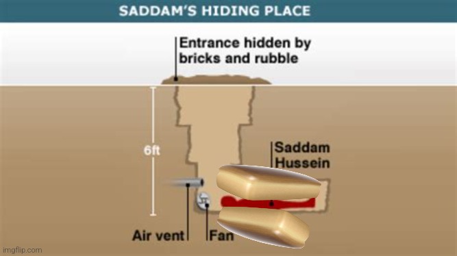 Sadam Hussein | image tagged in sadam hussein | made w/ Imgflip meme maker