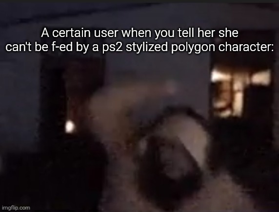 Idk how to name this | A certain user when you tell her she can't be f-ed by a ps2 stylized polygon character: | image tagged in caseoh low quality rage v1 | made w/ Imgflip meme maker