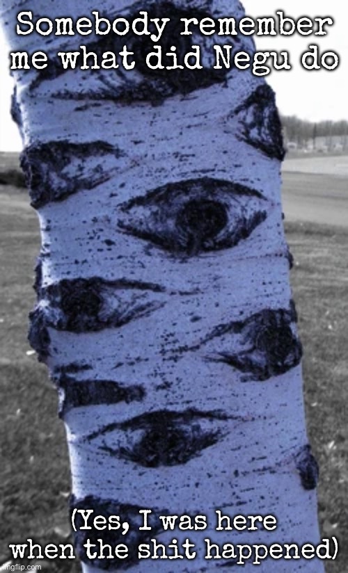what a nice tree | Somebody remember me what did Negu do; (Yes, I was here when the shit happened) | image tagged in what a nice tree,msmg | made w/ Imgflip meme maker