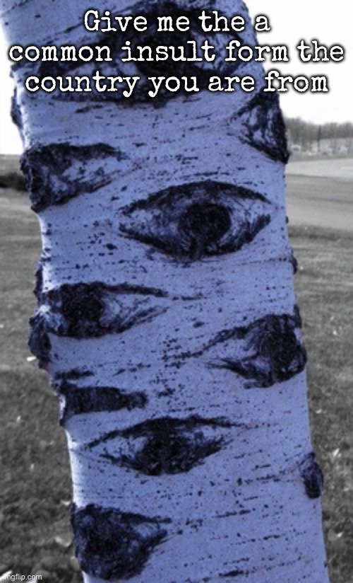 (In the comments) | Give me the a common insult form the country you are from | image tagged in what a nice tree,msmg | made w/ Imgflip meme maker