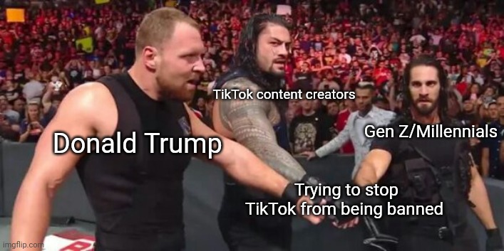 I really hope it doesn't get banned | TikTok content creators; Gen Z/Millennials; Donald Trump; Trying to stop TikTok from being banned | image tagged in wwe the shield,tiktok,tiktok ban,memes,january 19th,save tiktok | made w/ Imgflip meme maker