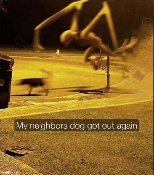 My neighbor's dog got out again | image tagged in my neighbor's dog got out again | made w/ Imgflip meme maker