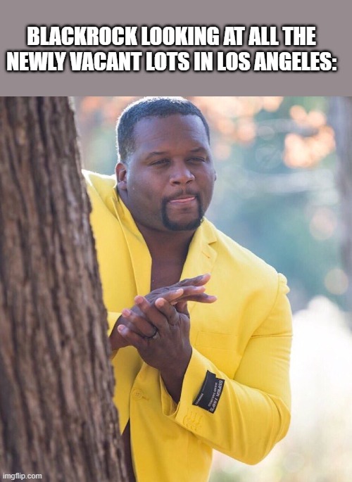 Another Land grab by Blackrock | BLACKROCK LOOKING AT ALL THE NEWLY VACANT LOTS IN LOS ANGELES: | image tagged in black guy hiding behind tree,los angeles,california,democrats | made w/ Imgflip meme maker