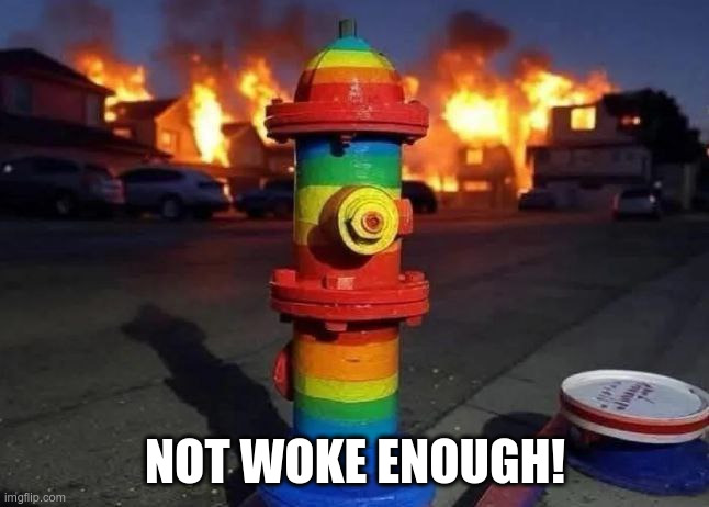 NOT WOKE ENOUGH! | image tagged in woke fire hydrant | made w/ Imgflip meme maker