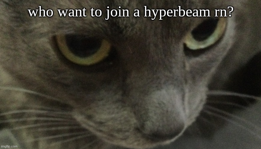 Sweetie | who want to join a hyperbeam rn? | image tagged in sweetie | made w/ Imgflip meme maker