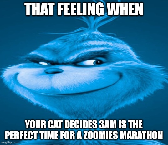 Ai | THAT FEELING WHEN; YOUR CAT DECIDES 3AM IS THE PERFECT TIME FOR A ZOOMIES MARATHON | image tagged in blue grinch | made w/ Imgflip meme maker