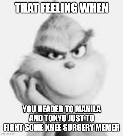 white grinch | THAT FEELING WHEN YOU HEADED TO MANILA AND TOKYO JUST TO FIGHT SOME KNEE SURGERY MEMER | image tagged in white grinch | made w/ Imgflip meme maker
