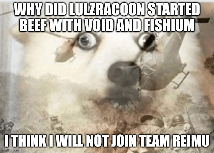 PTSD dog | WHY DID LULZRACOON STARTED BEEF WITH VOID AND FISHIUM; I THINK I WILL NOT JOIN TEAM REIMU | image tagged in ptsd dog | made w/ Imgflip meme maker