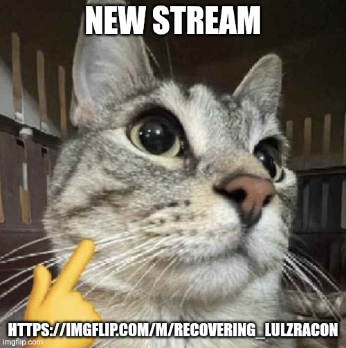 Mewing Cat | NEW STREAM; HTTPS://IMGFLIP.COM/M/RECOVERING_LULZRACON | image tagged in mewing cat | made w/ Imgflip meme maker