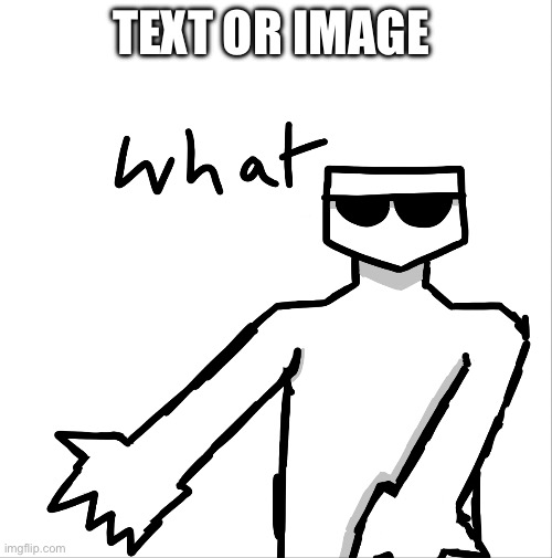 What | TEXT OR IMAGE | image tagged in what | made w/ Imgflip meme maker